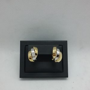 Boucles d'oreilles bicolore